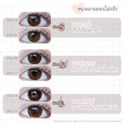 Biscuit (Green) ค่าสายตา 0.00-10.00 คอนแทคเลนส์