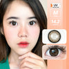 Holla (Brown) ค่าสายตา 0.00-10.00 คอนแทคเลนส์