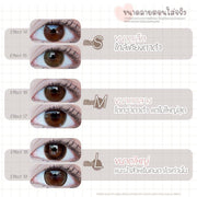 [เลนส์กล่อง Blister] Caramel (Brown) ค่าสายตา 0.00-10.00 คอนแทคเลนส์