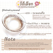 [เลนส์กล่อง Blister] Caramel (Brown) ค่าสายตา 0.00-10.00 คอนแทคเลนส์