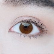 New york (Brown) Shinee ค่าสายตา 0.00-10.00 คอนแทคเลนส์