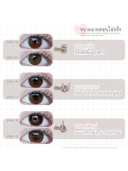 Cleany Brown ค่าสายตา 0.00-10.00 คอนแทคเลนส์