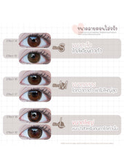 Limited Leena Brown ค่าสายตา 0.00-10.00 คอนแทคเลนส์