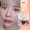 Honey bee mini (Gray)