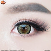 Kirei (Brown) ค่าสายตา 0.00-10.00 คอนแทคเลนส์