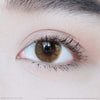 Stone berry (Brown)