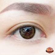 Aloha / Bell little (Brown)