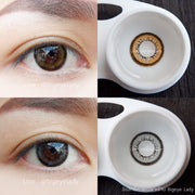 Aloha / Bell little (Brown)