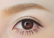 Angelinus (Choco)