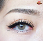 Batis (Brown)