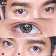 Cillon / Kelly / Classic little (Gray)