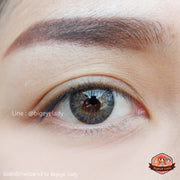 Cillon / Kelly / Classic little (Gray)