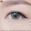 Dior (Gray)