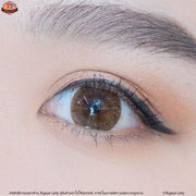 Dressy (brown)