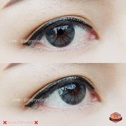 Envy / Glacier (Gray)