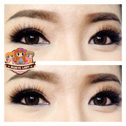 Glitter (Brown) ค่าสายตา 0.00-10.00 คอนแทคเลนส์