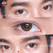 Glitter (Brown) ค่าสายตา 0.00-10.00 คอนแทคเลนส์