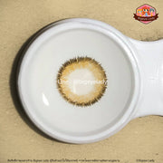 Glitter (Brown) ค่าสายตา 0.00-10.00 คอนแทคเลนส์