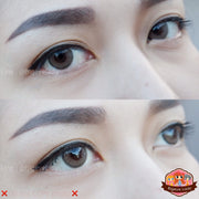 Jelly mini (Brown) ค่าสายตา 0.00-10.00 คอนแทคเลนส์