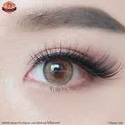 Jelly mini (Brown) ค่าสายตา 0.00-10.00 คอนแทคเลนส์