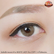 Jetaime (Brown) Size M ค่าสายตา 0.00-10.00 คอนแทคเลนส์