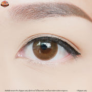 Lightly (Brown)