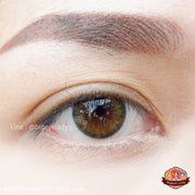 Lily 2 tone (Brown) ค่าสายตา 0.00-10.00 คอนแทคเลนส์