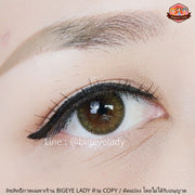 Lily 2 tone (Brown) ค่าสายตา 0.00-10.00 คอนแทคเลนส์