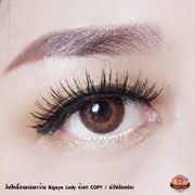 Lookfresh (Brown)