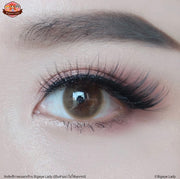 Pandora (Brown)