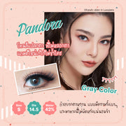 Pandora mini (Gray)