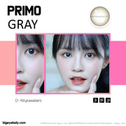 Primo mini (Gray)