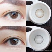 Rose mini (Gray) Kawaii