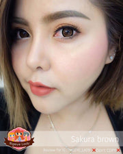 Sakura little (Brown)