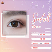 Seeshell (Brown) Size M