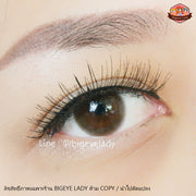 Soft mini (Brown) ค่าสายตา 0.00-10.00 คอนแทคเลนส์