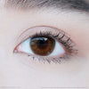 Sunkiss (Brown)