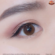 Sure (Brown)