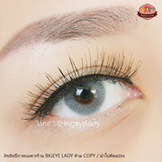 Sweety hydrocor (Gray) *SH*