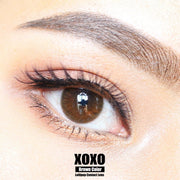 Xoxo (Brown)